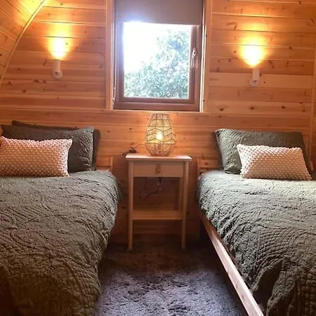 Eco-Friendly Cabins Cabin 3 Norton Disney Exterior foto