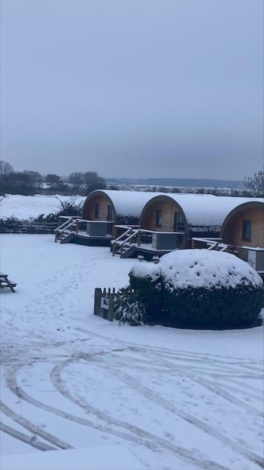 Eco-friendly 3 * Norton Disney